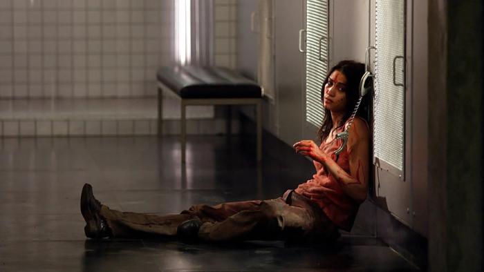 "Martyrs (2008)"